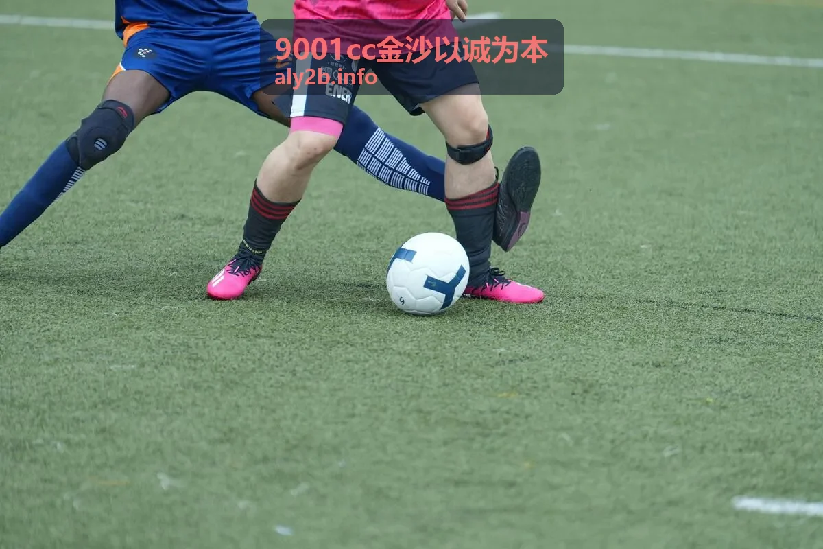 专业服务团队商务管理方案